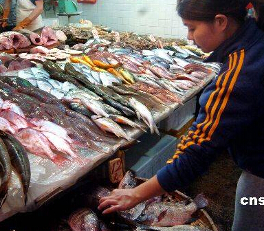 京客隆淡水魚(yú)檢出禁藥孔雀石綠